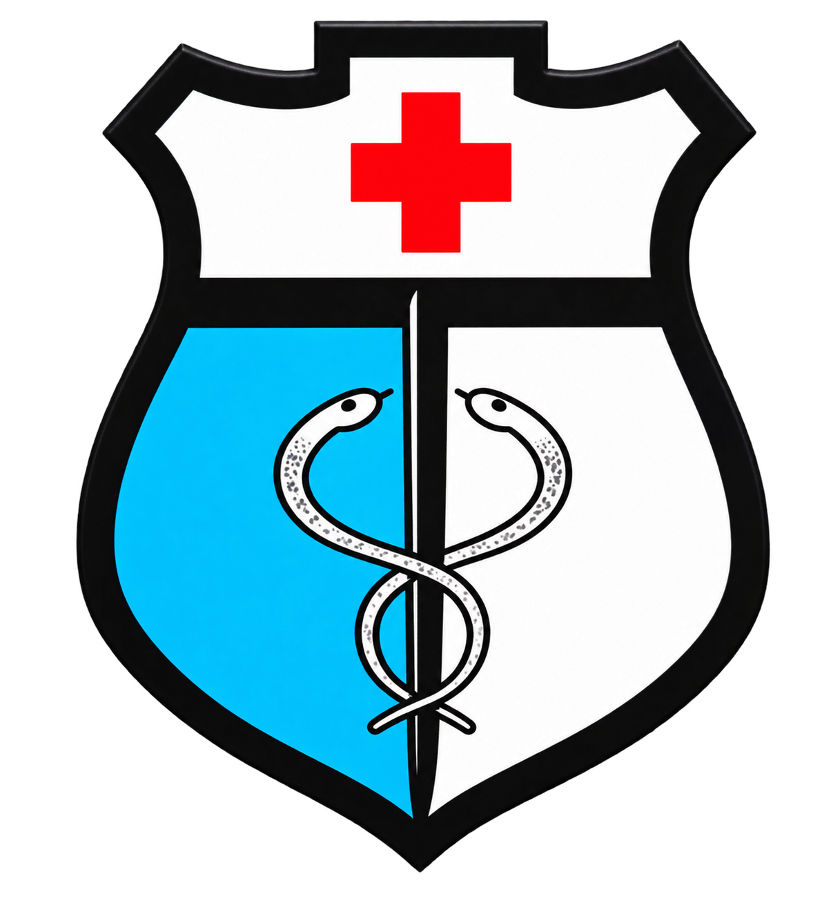 Instituto Técnico Superior de Sanidad